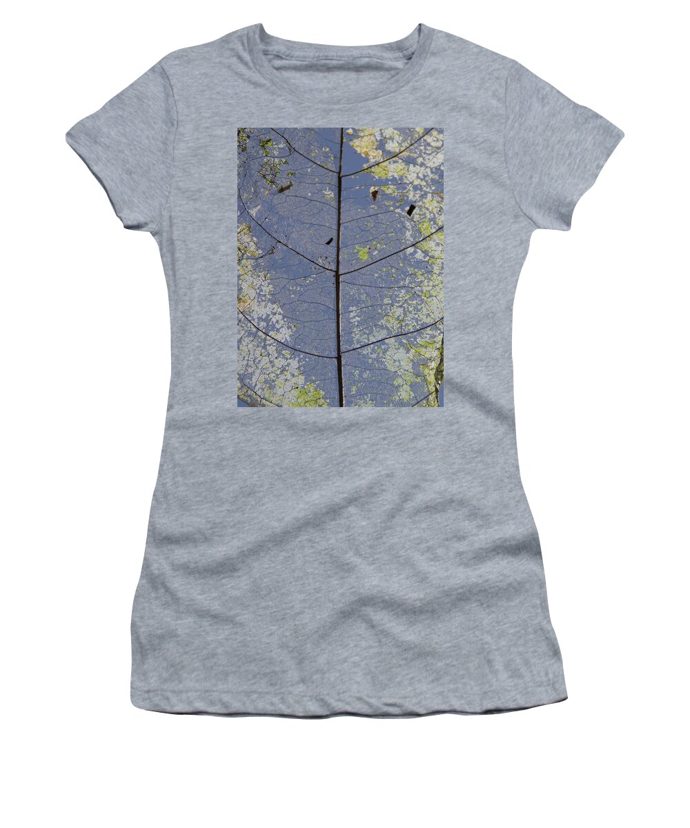 Leaf Women's T-Shirt featuring the photograph Leaf structure by Debbie Cundy
