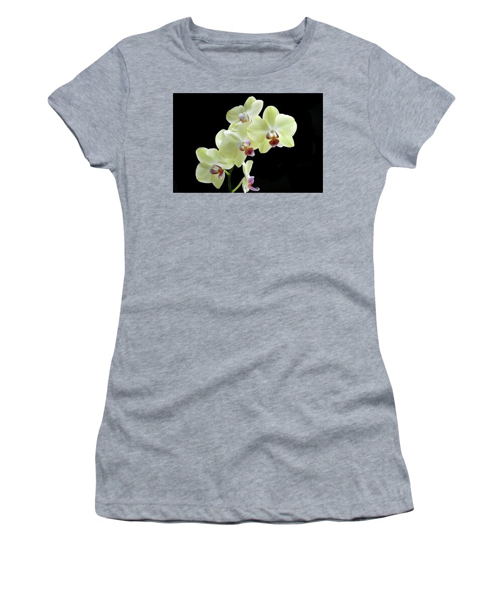 Orchid Women's T-Shirt featuring the photograph Lemon Yellow Orchid's by Terence Davis