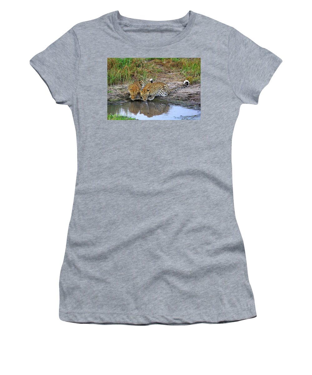 Leopard Women's T-Shirt featuring the photograph Leopards by Richard Krebs