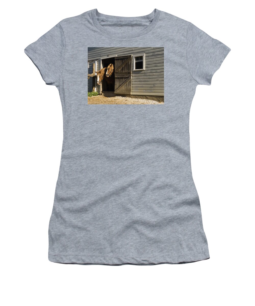 Two Horses Standing Inside Narrow Barn Door Women's T-Shirt featuring the photograph Let's Go Out by Sally Weigand