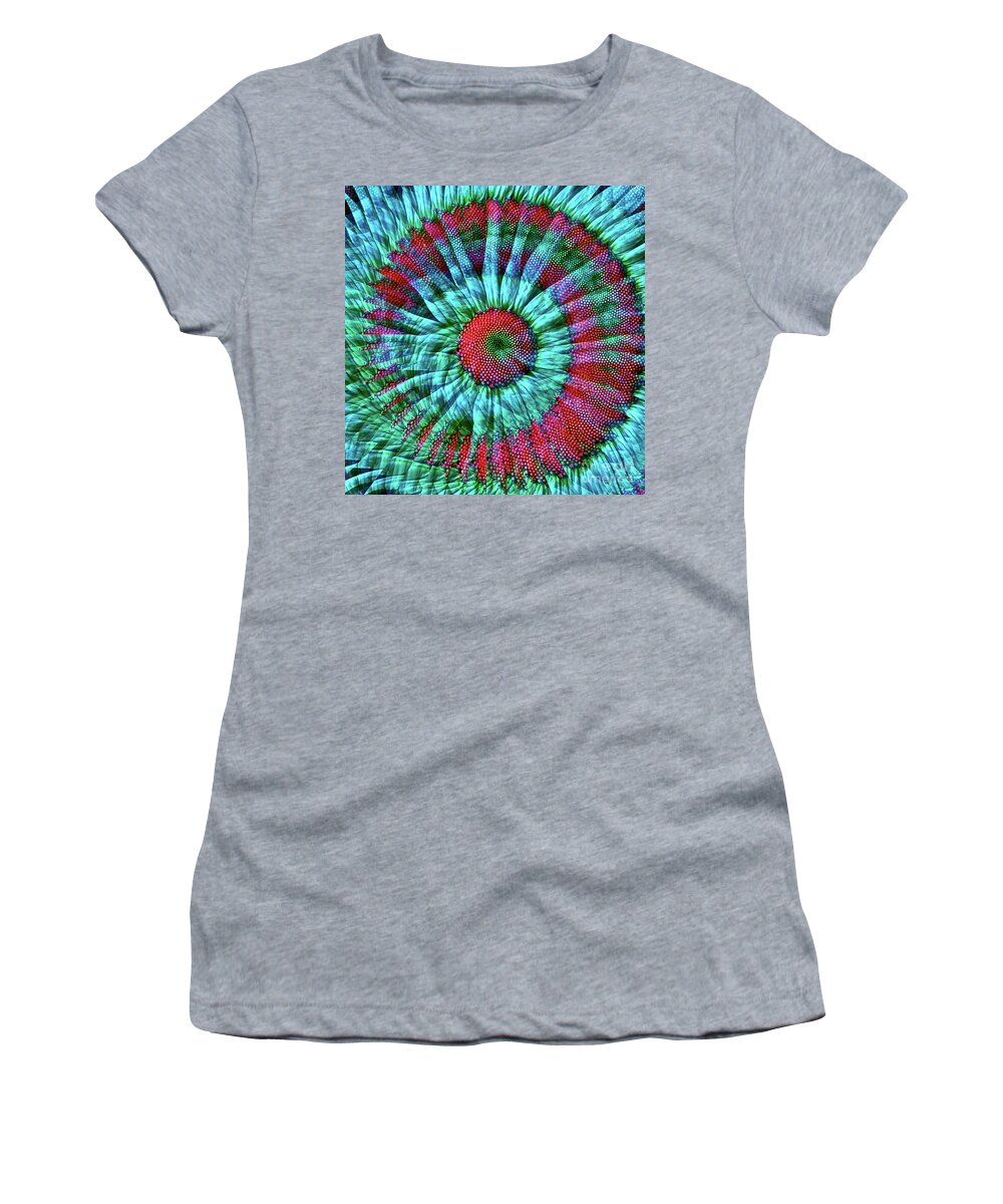 Daisy Women's T-Shirt featuring the photograph Life as a Daisy by Gwyn Newcombe