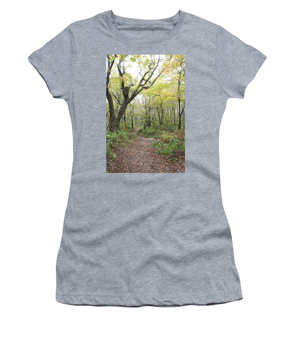 Path Women's T-Shirt featuring the photograph Light on Path by Allen Nice-Webb