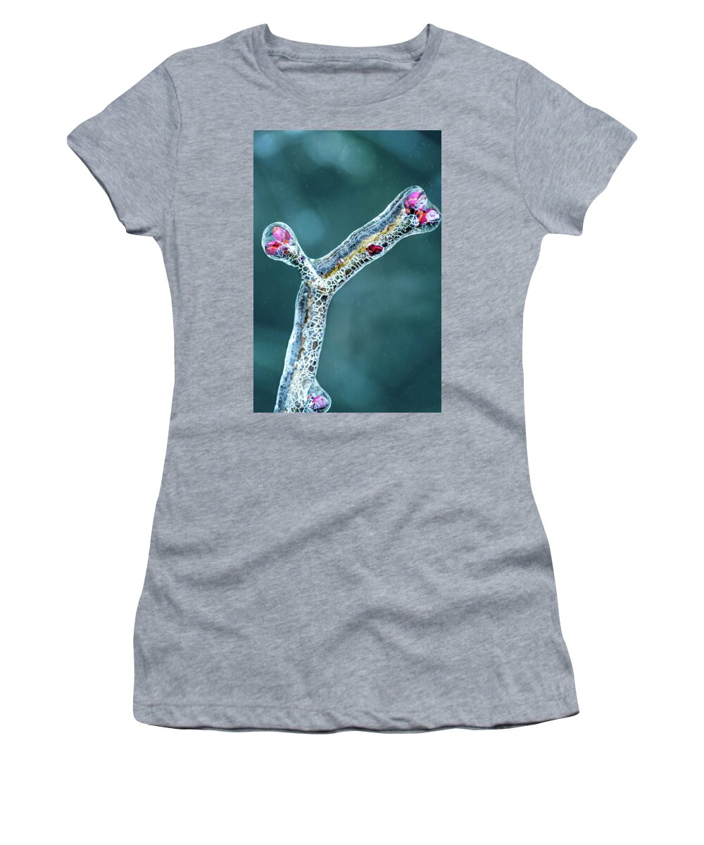 Crystal Women's T-Shirt featuring the photograph Lilac buds in ice by Robert FERD Frank