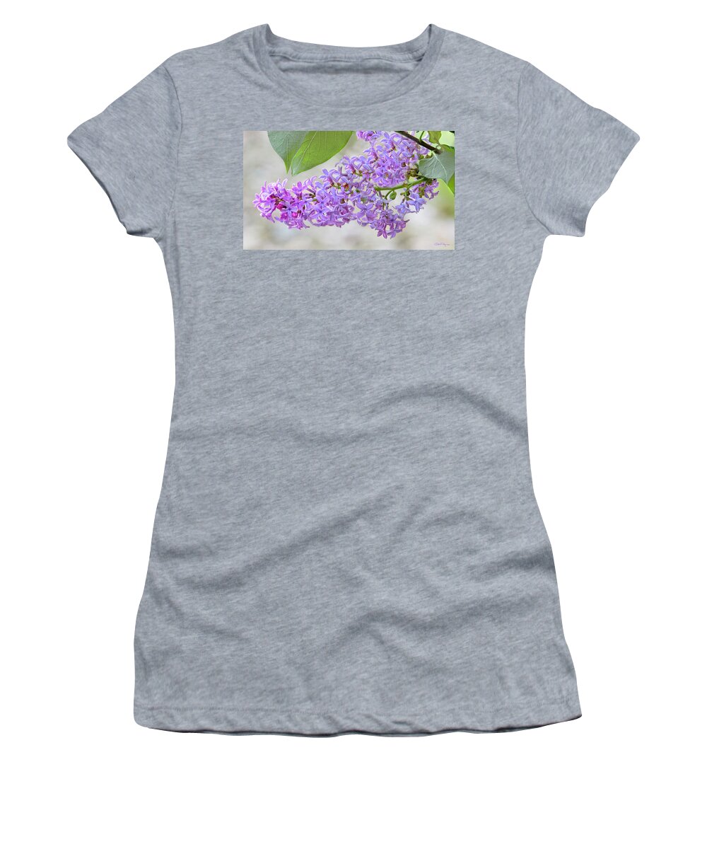 Lilacs Women's T-Shirt featuring the photograph Lilac Cluster by Skip Tribby