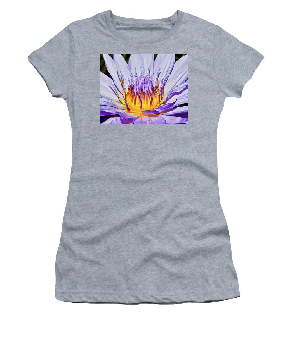 Flower Women's T-Shirt featuring the photograph Lily on Fire by Joe Kopp