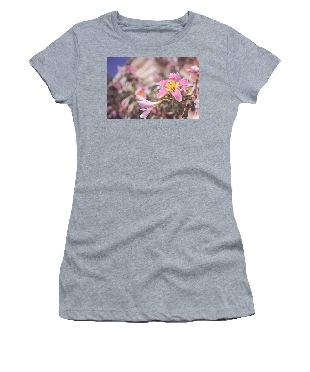 Pink Flowers Women's T-Shirt featuring the photograph Lily Tree. Flowers of Malaga by Jenny Rainbow