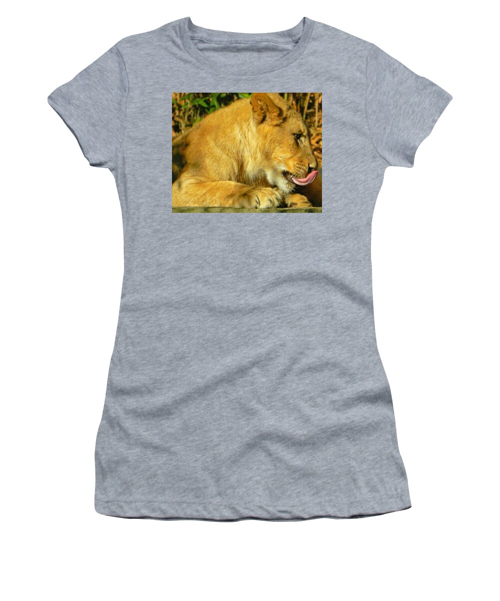 Lion Cub - What A Yummy Snack Women's T-Shirt featuring the photograph Lion Cub - What A Yummy Snack by Emmy Vickers