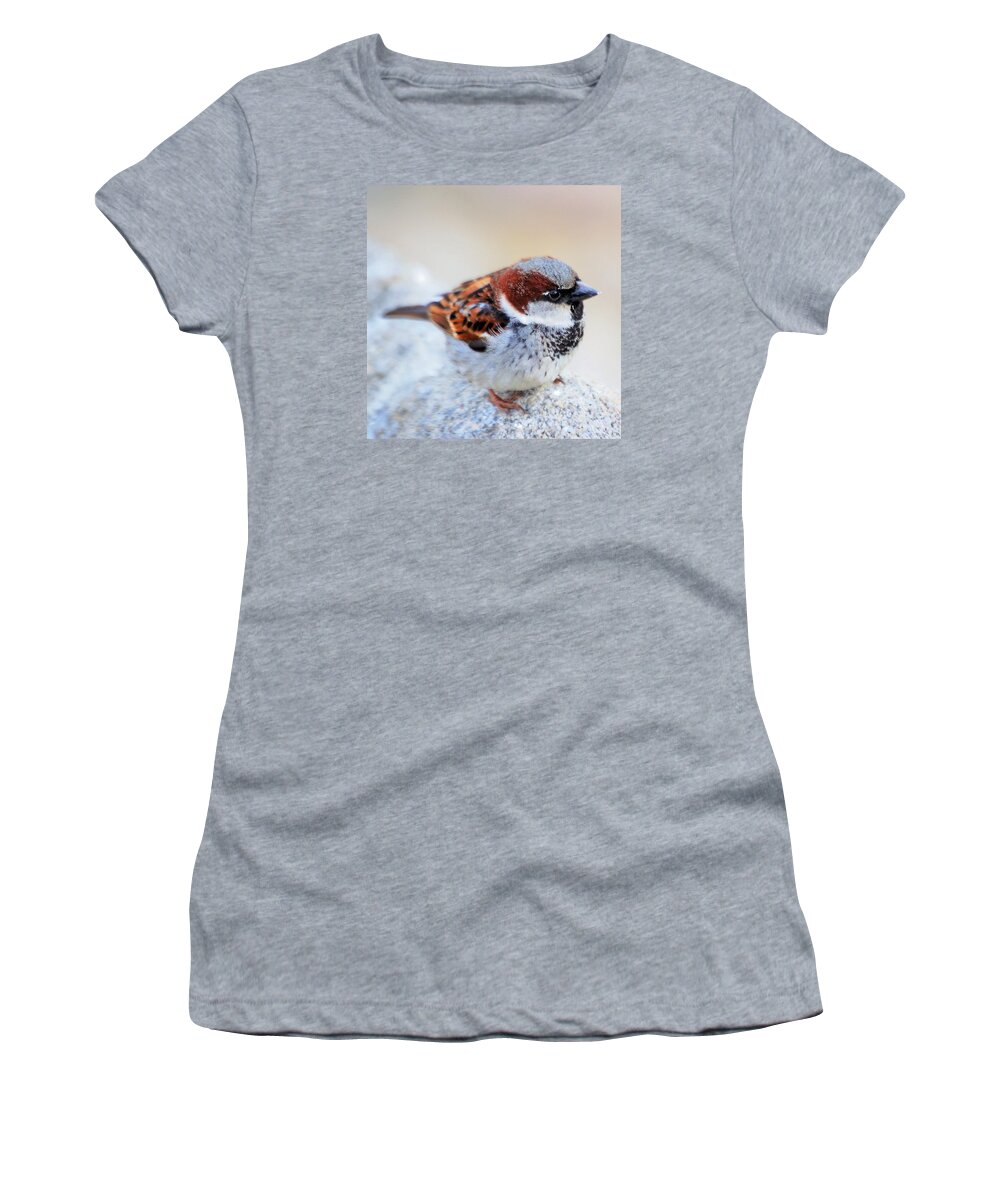 Bird Women's T-Shirt featuring the photograph Little birdy by Maria Aduke Alabi