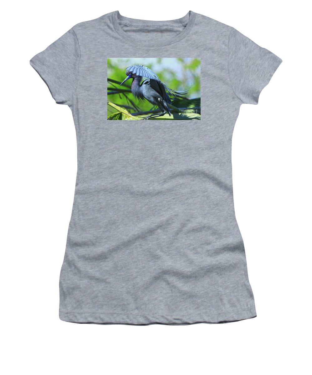 Heron Women's T-Shirt featuring the photograph Little Blue Heron Alligator Farm by Deborah Benoit