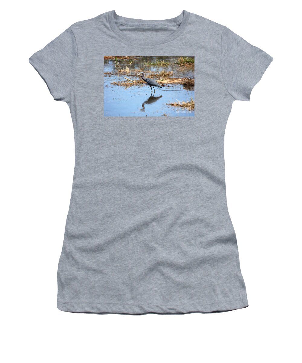 Little Blue Heron Women's T-Shirt featuring the photograph Little Blue Heron in the Marsh by Carol Groenen