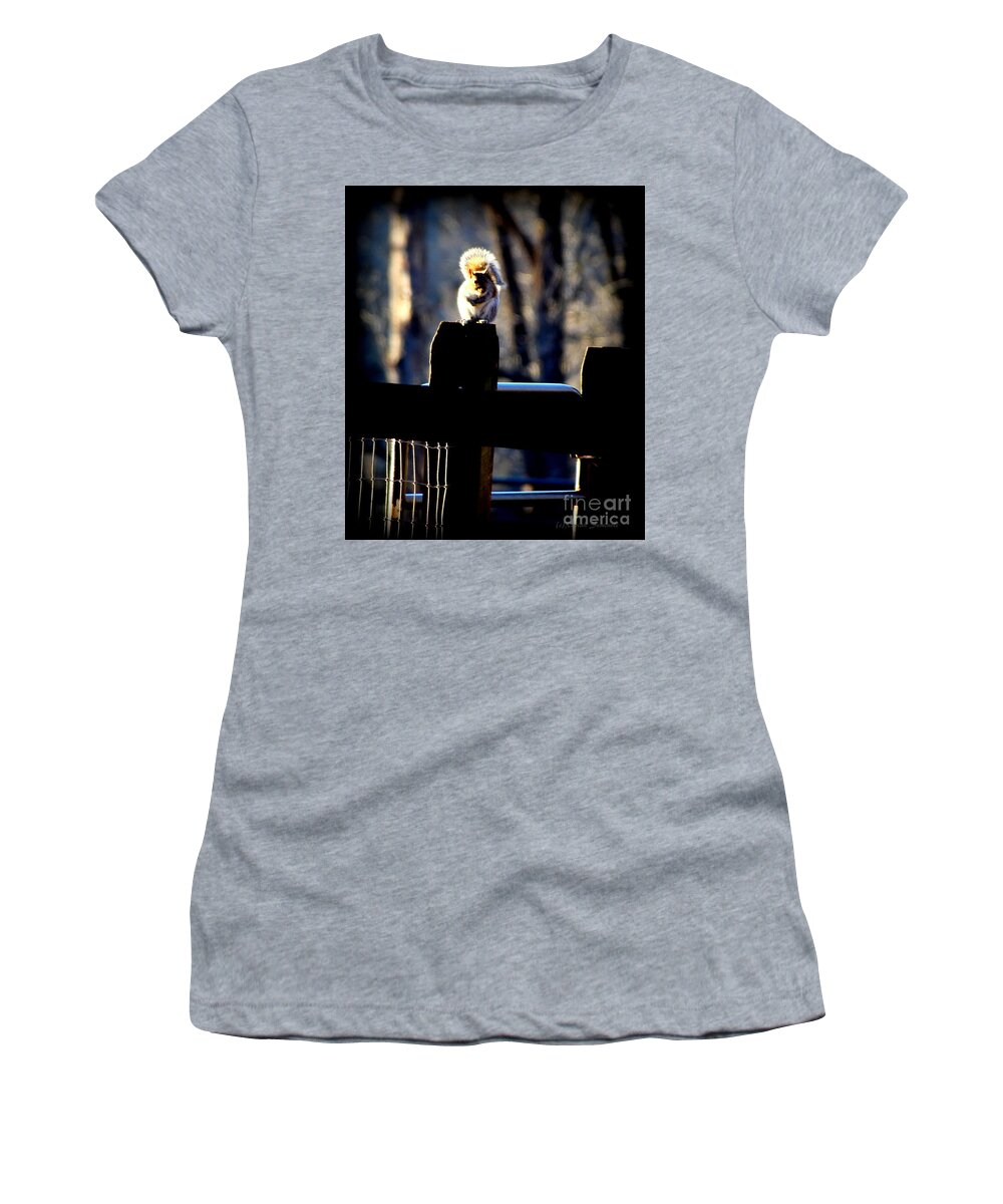 Squirrel Women's T-Shirt featuring the photograph Little Friend by Rabiah Seminole