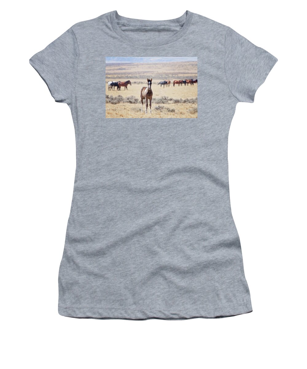 Wild Horses Women's T-Shirt featuring the photograph Little Prince by Eilish Palmer