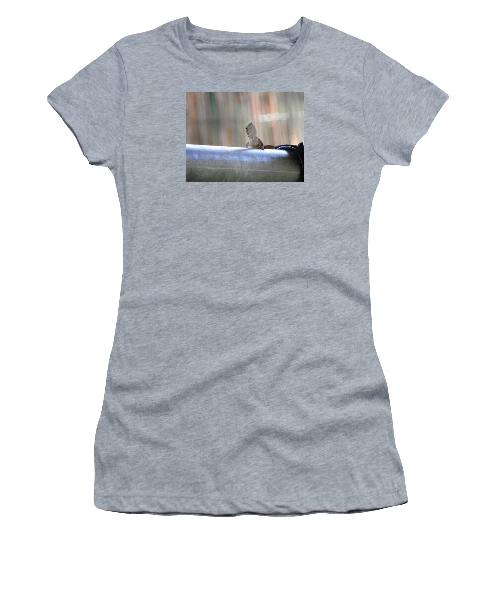 Caught This Grey Women's T-Shirt featuring the photograph Lizard Larry Look Up by Belinda Lee