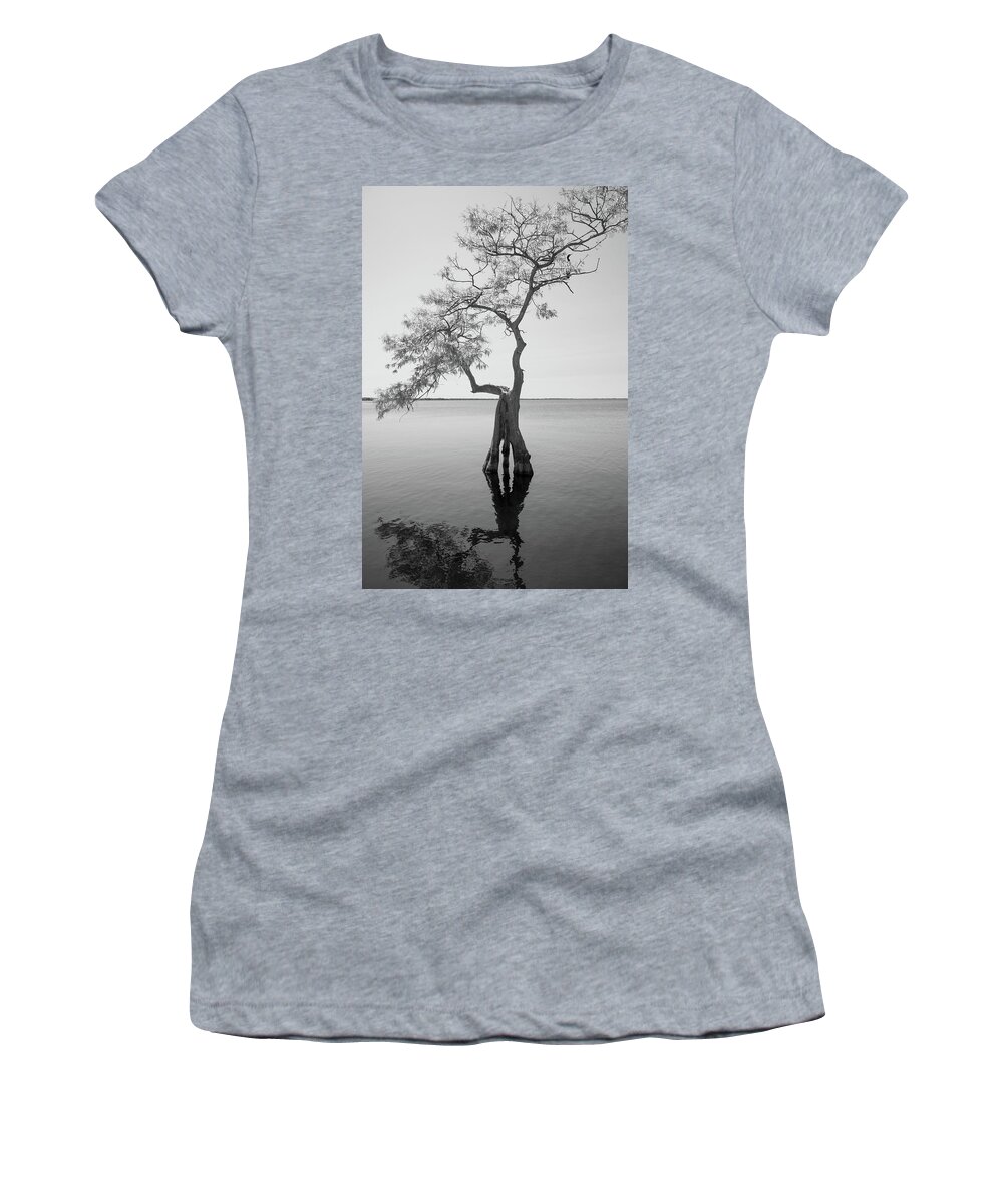 Bald Cypress Women's T-Shirt featuring the photograph Blue Cypress by John Black