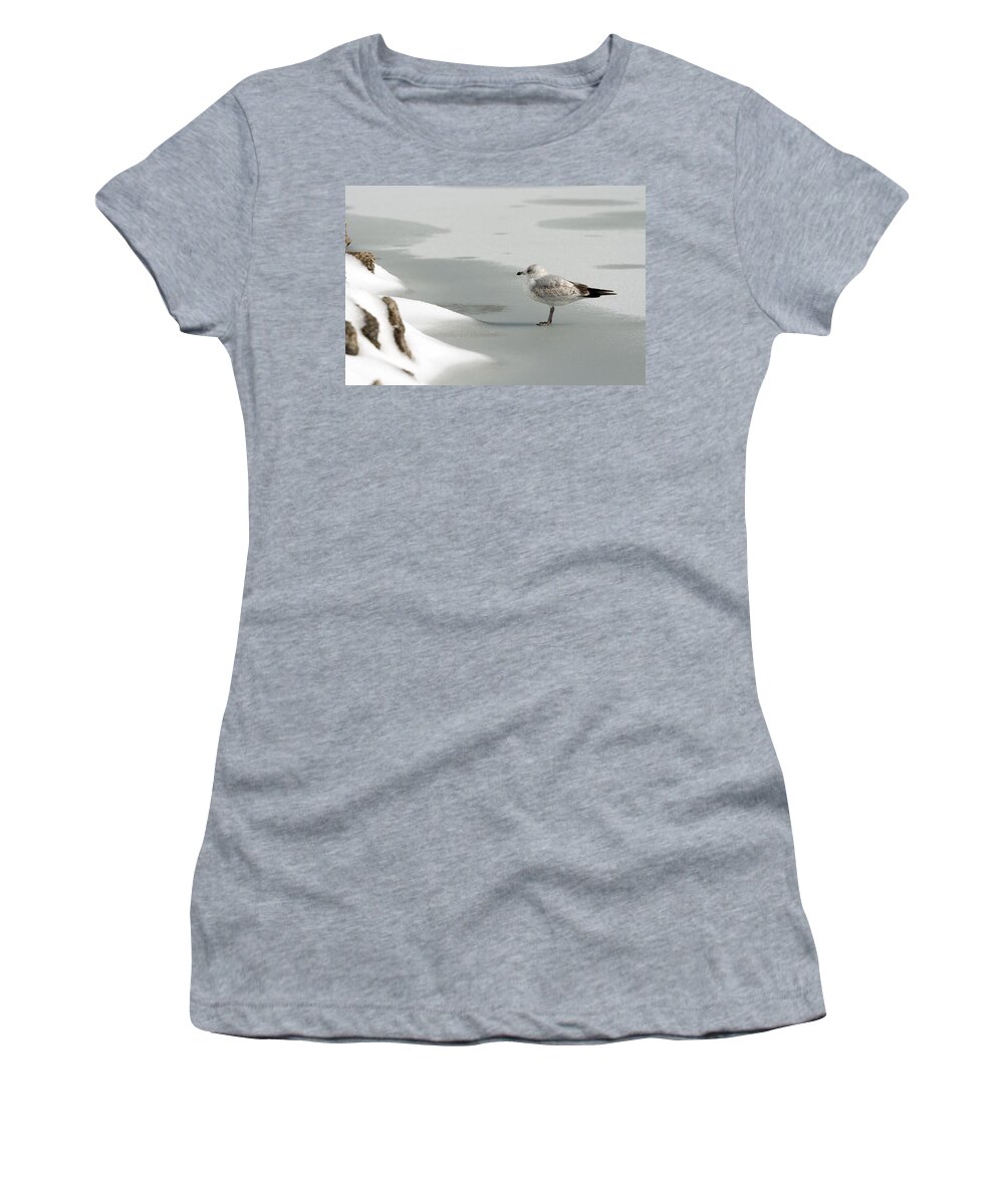 Atop Women's T-Shirt featuring the photograph Lone Seagull by Travis Rogers