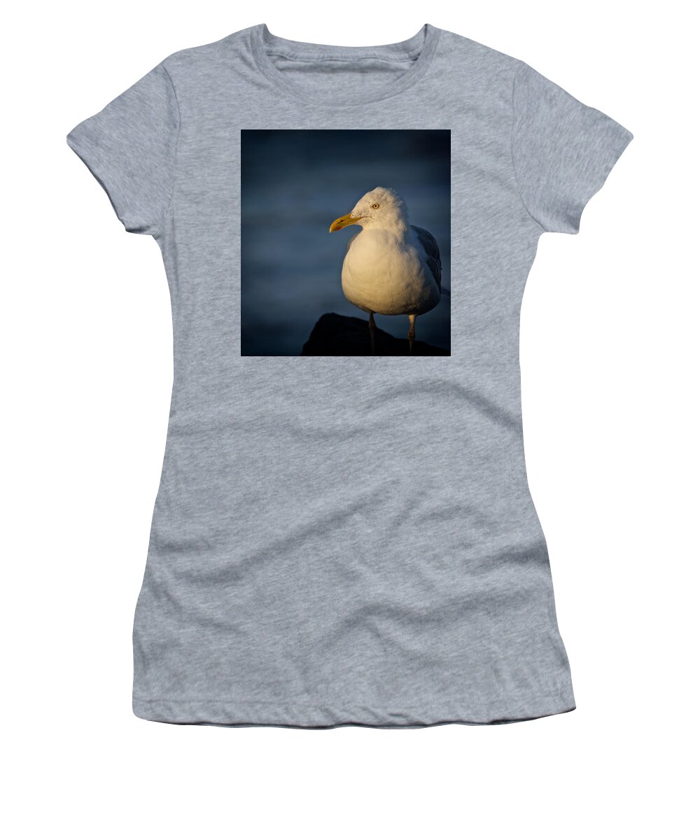 Acadia National Park Women's T-Shirt featuring the photograph Lonely Gull by Kathi Isserman