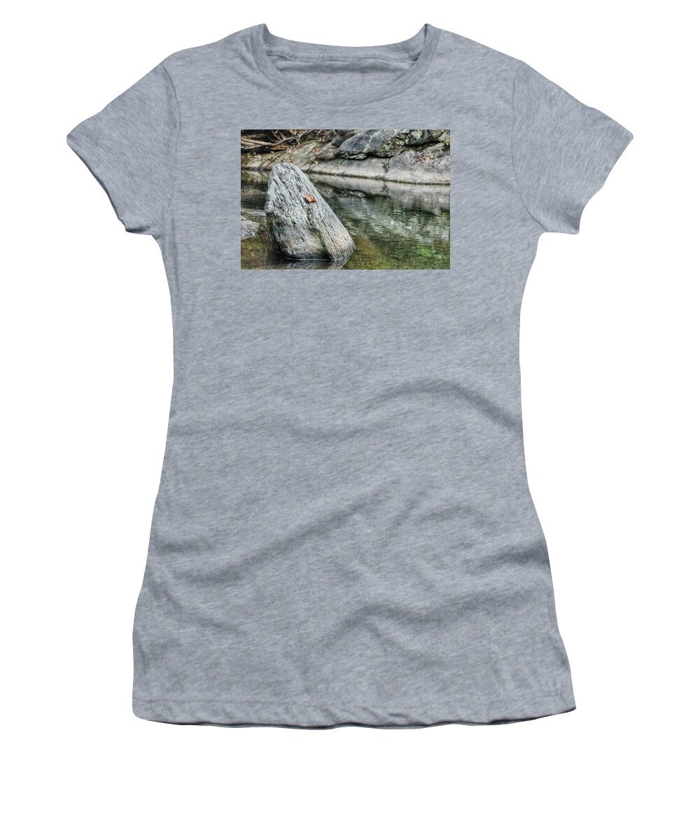 Blue Ridge Mountains Women's T-Shirt featuring the photograph Lonely Leaf by Doug Ash