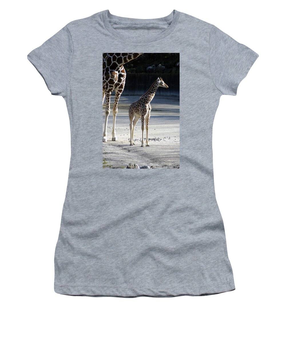 Long Legs Women's T-Shirt featuring the photograph Long Legs - giraffe by DArcy Evans