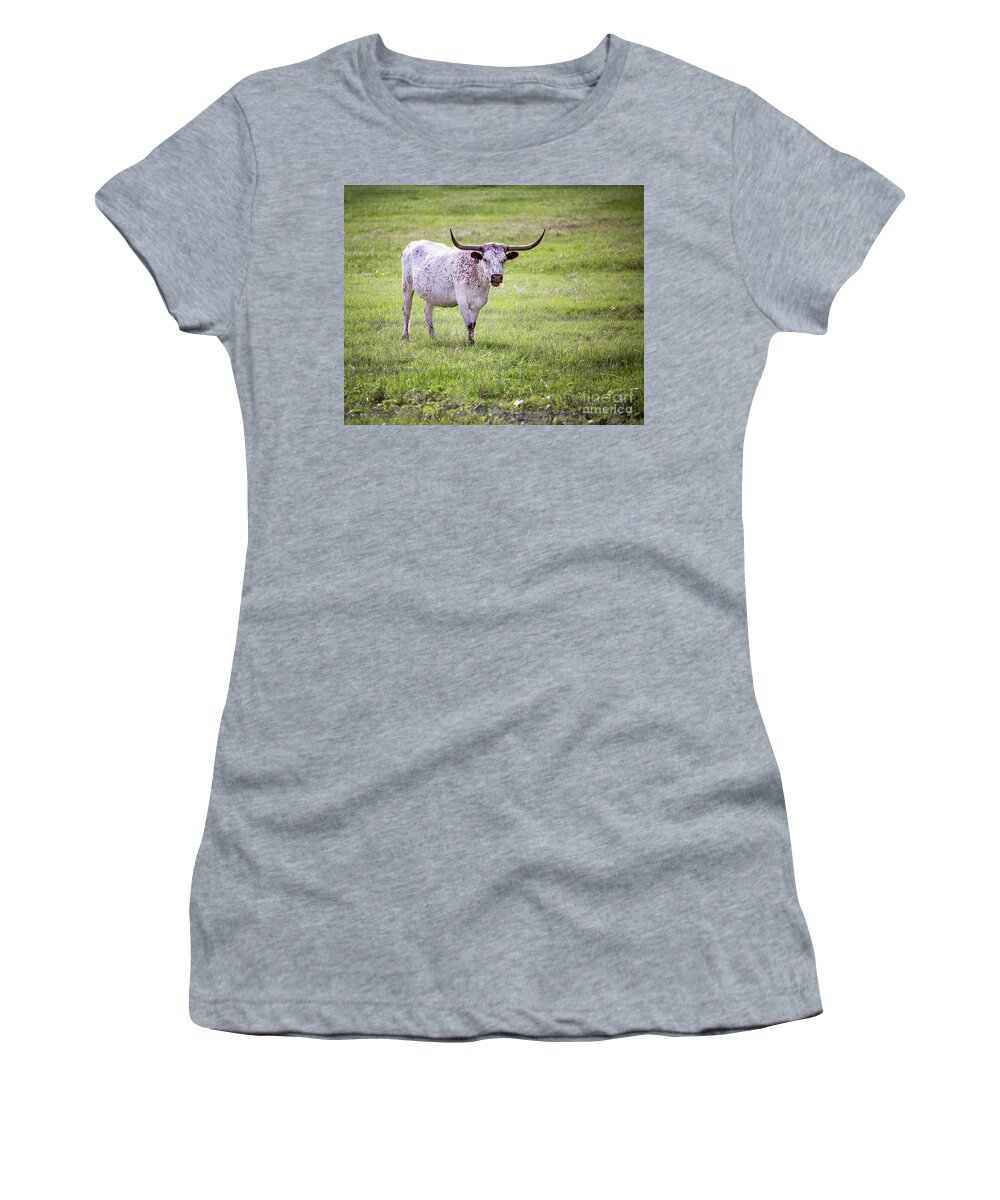Longhorn Women's T-Shirt featuring the photograph Longhorn 3 by Anthony Michael Bonafede
