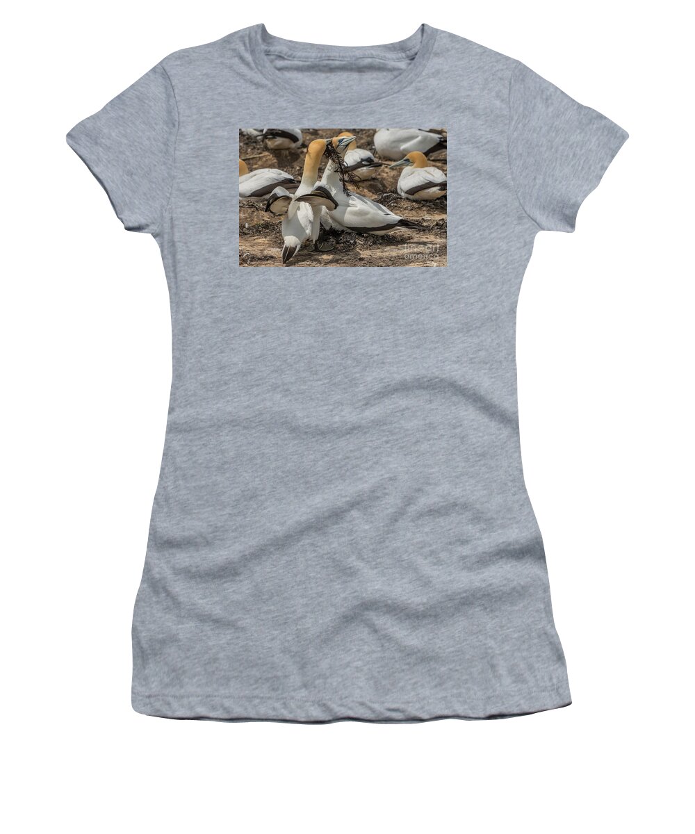 Bird Women's T-Shirt featuring the photograph Look What I've Brought For You by Werner Padarin