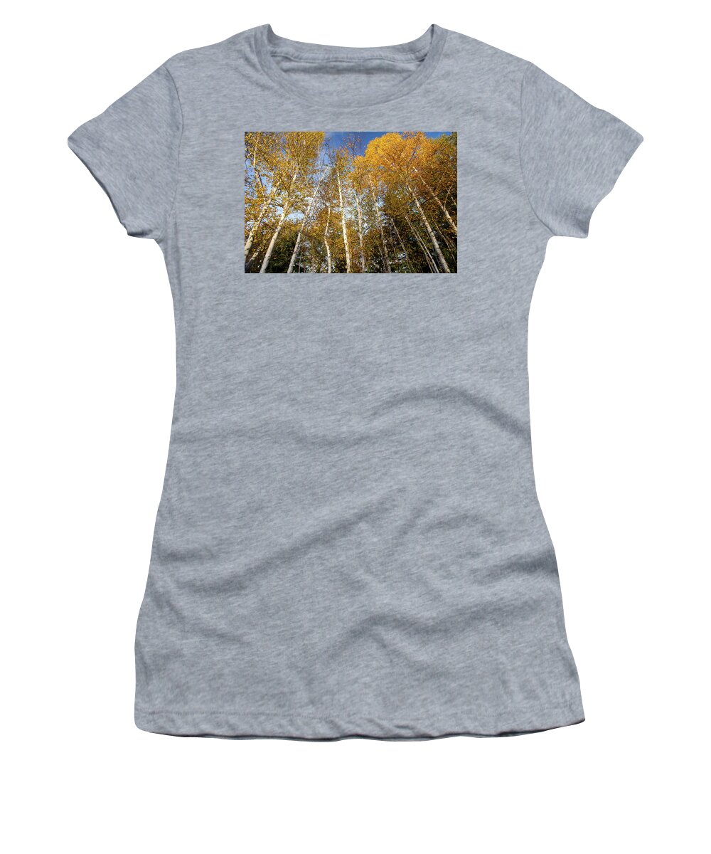 Rangeley Women's T-Shirt featuring the photograph Looking up by Darryl Hendricks