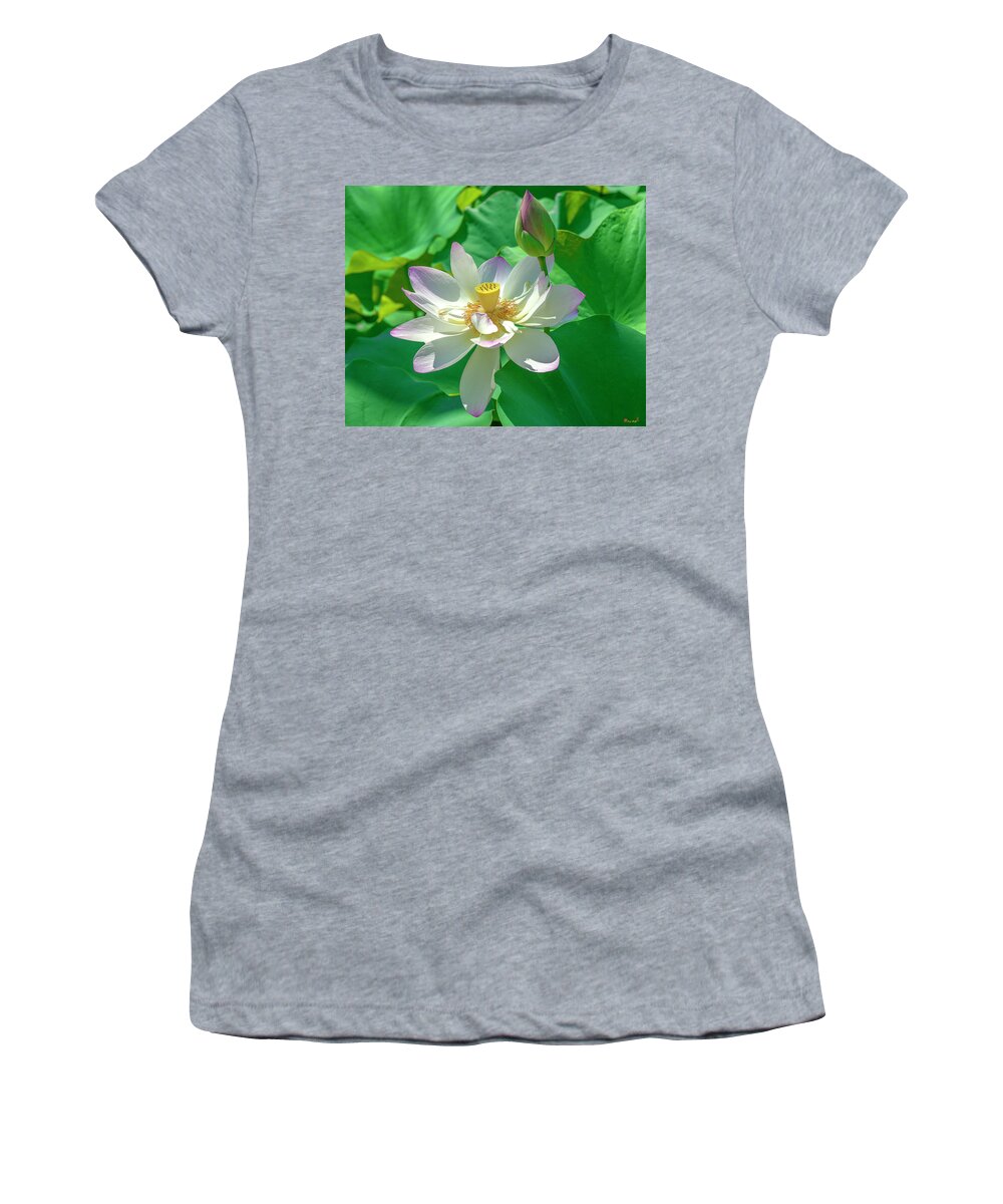 Lotus Women's T-Shirt featuring the photograph Lotus--Fading i DL0079 by Gerry Gantt