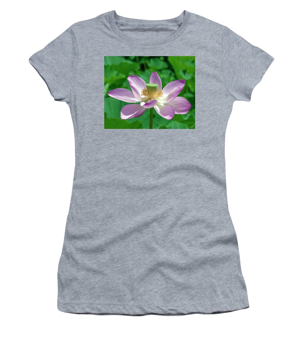 Lotus Women's T-Shirt featuring the photograph Lotus--Fading iii DL0081 by Gerry Gantt