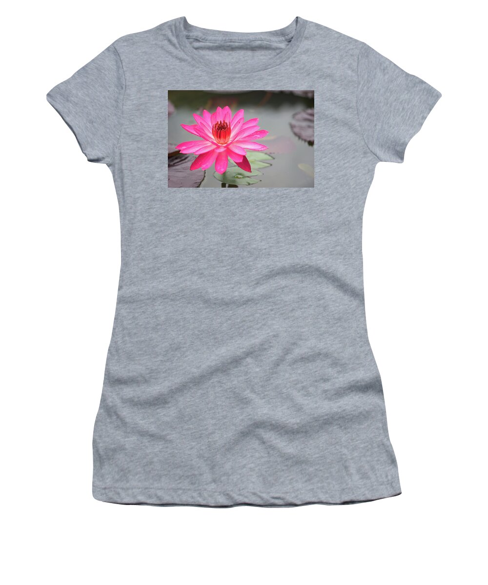 Lotus Women's T-Shirt featuring the photograph Lotus Pond by Ivan Franklin