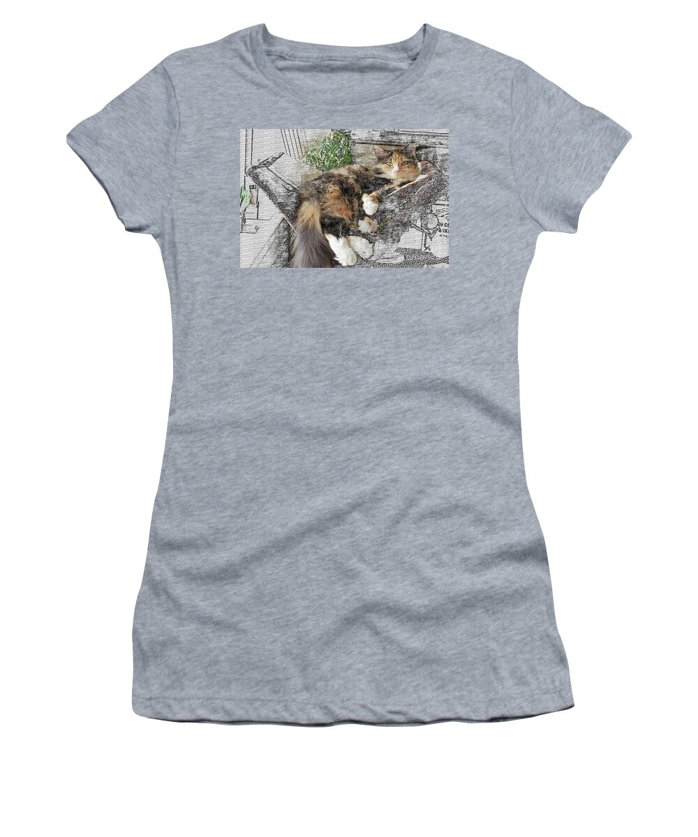 Cat Women's T-Shirt featuring the digital art Lounging Polydactyl by Deb Nakano