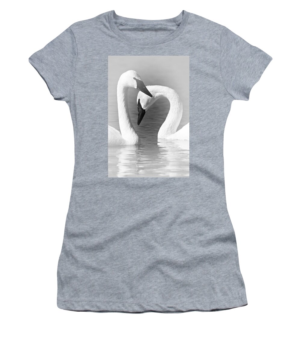 Trumpeter Swans Women's T-Shirt featuring the photograph Love in Black and White by Larry Ricker