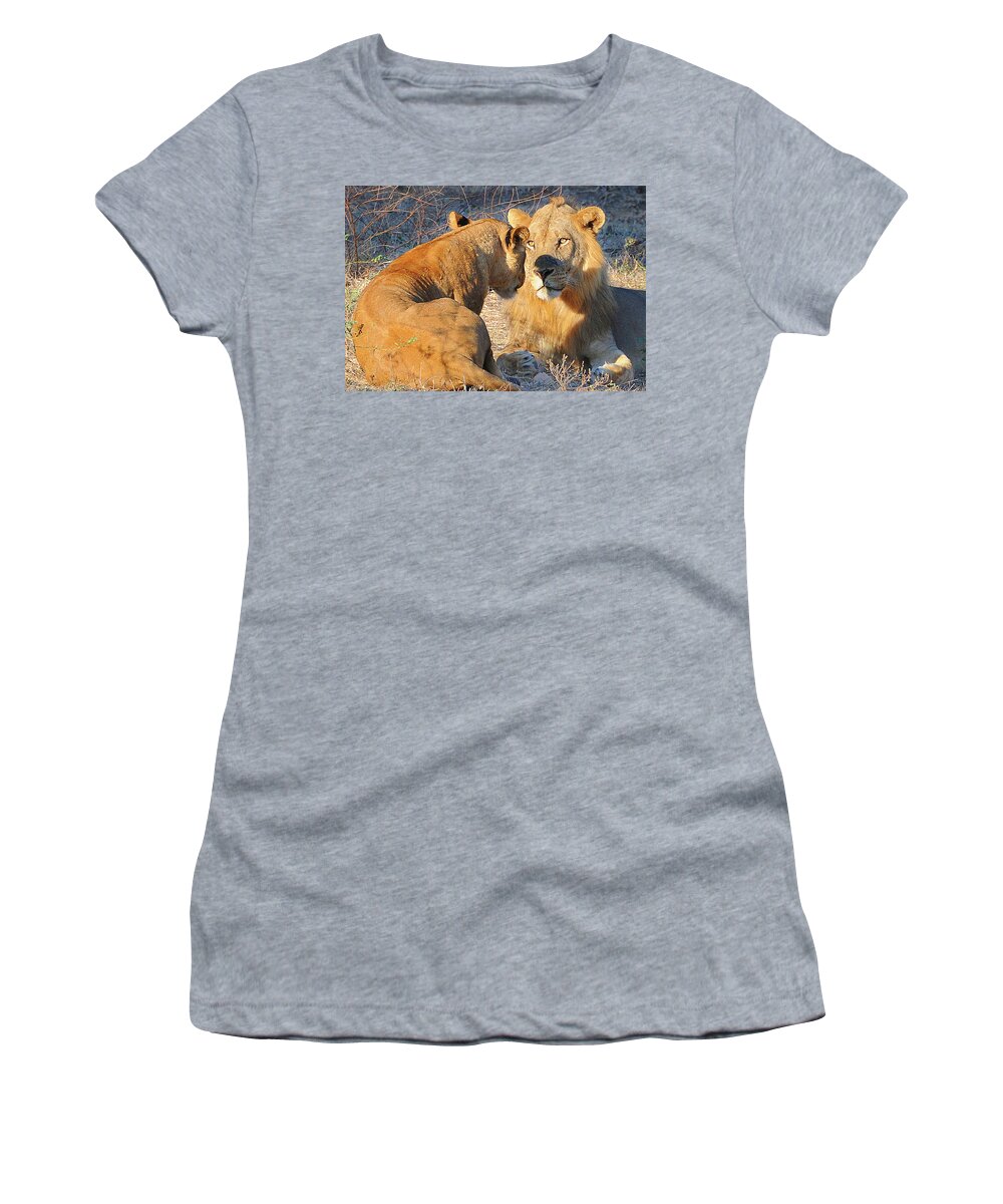Loving Women's T-Shirt featuring the photograph Loving Lions by Ted Keller