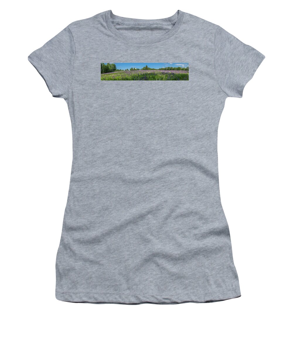 Flowers Women's T-Shirt featuring the photograph Lupine Field by Darryl Hendricks