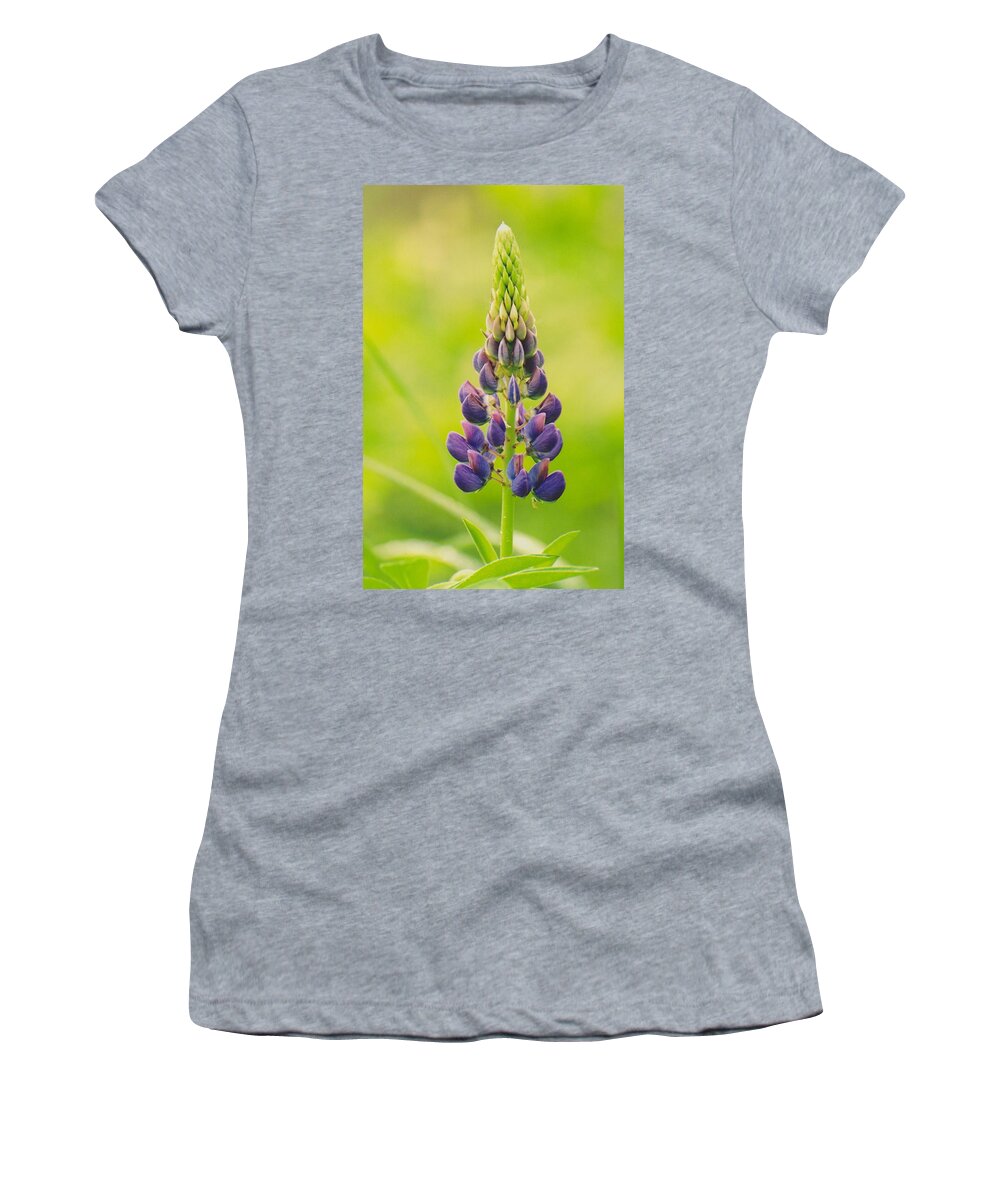 Lupin Women's T-Shirt featuring the photograph Lupin by Juergen Roth
