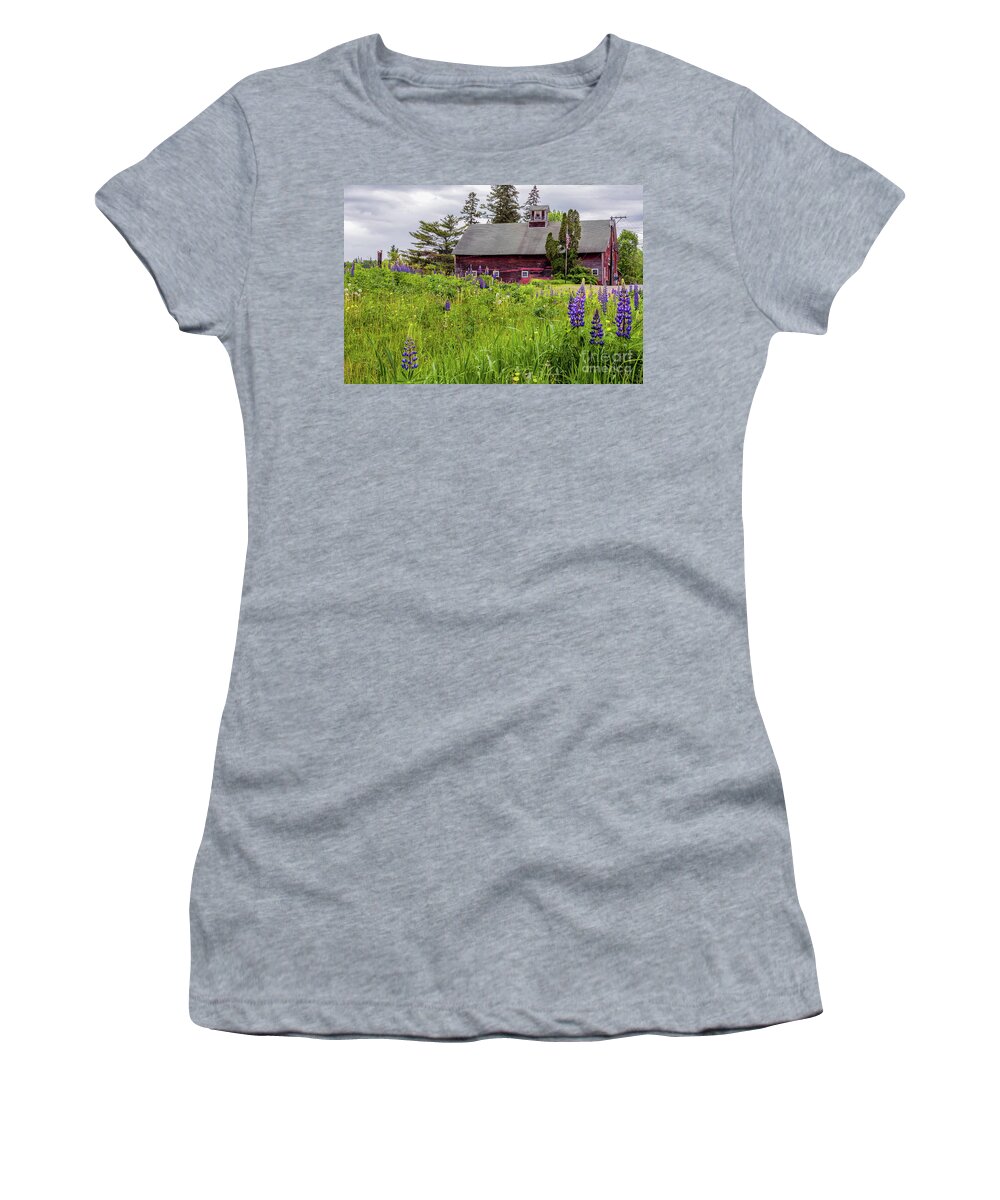Lupine Women's T-Shirt featuring the photograph Lupine Country by Rod Best