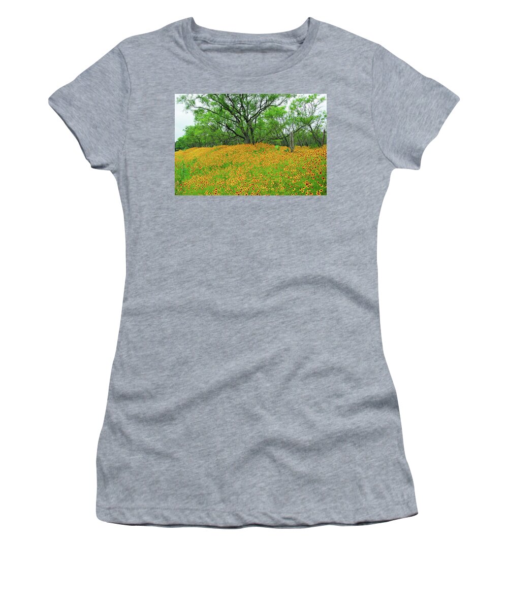 Coreopsis Women's T-Shirt featuring the photograph Lush Coreopsis by Lynn Bauer