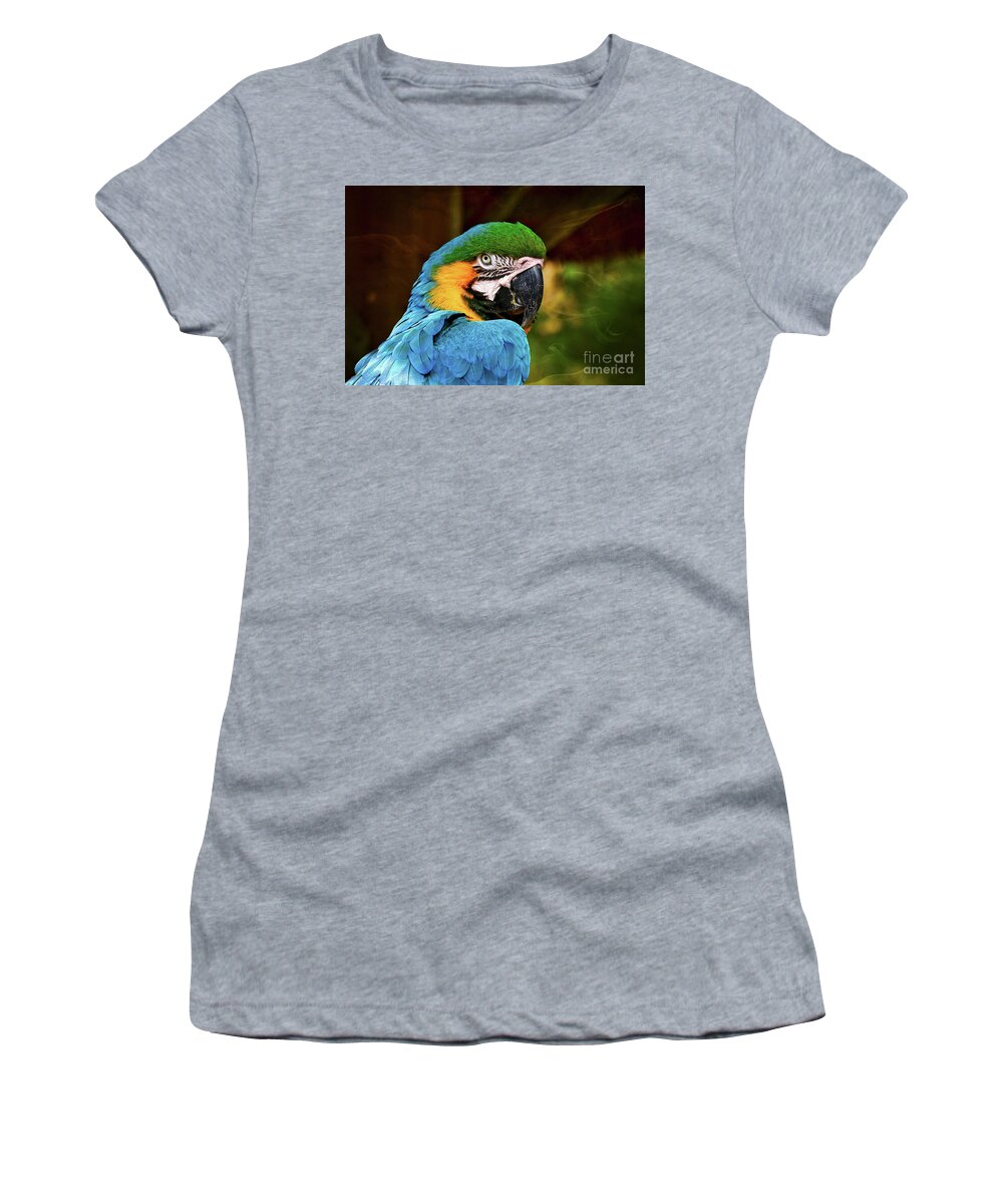 Macaw Women's T-Shirt featuring the photograph Macaw Portrait by Kathy Baccari