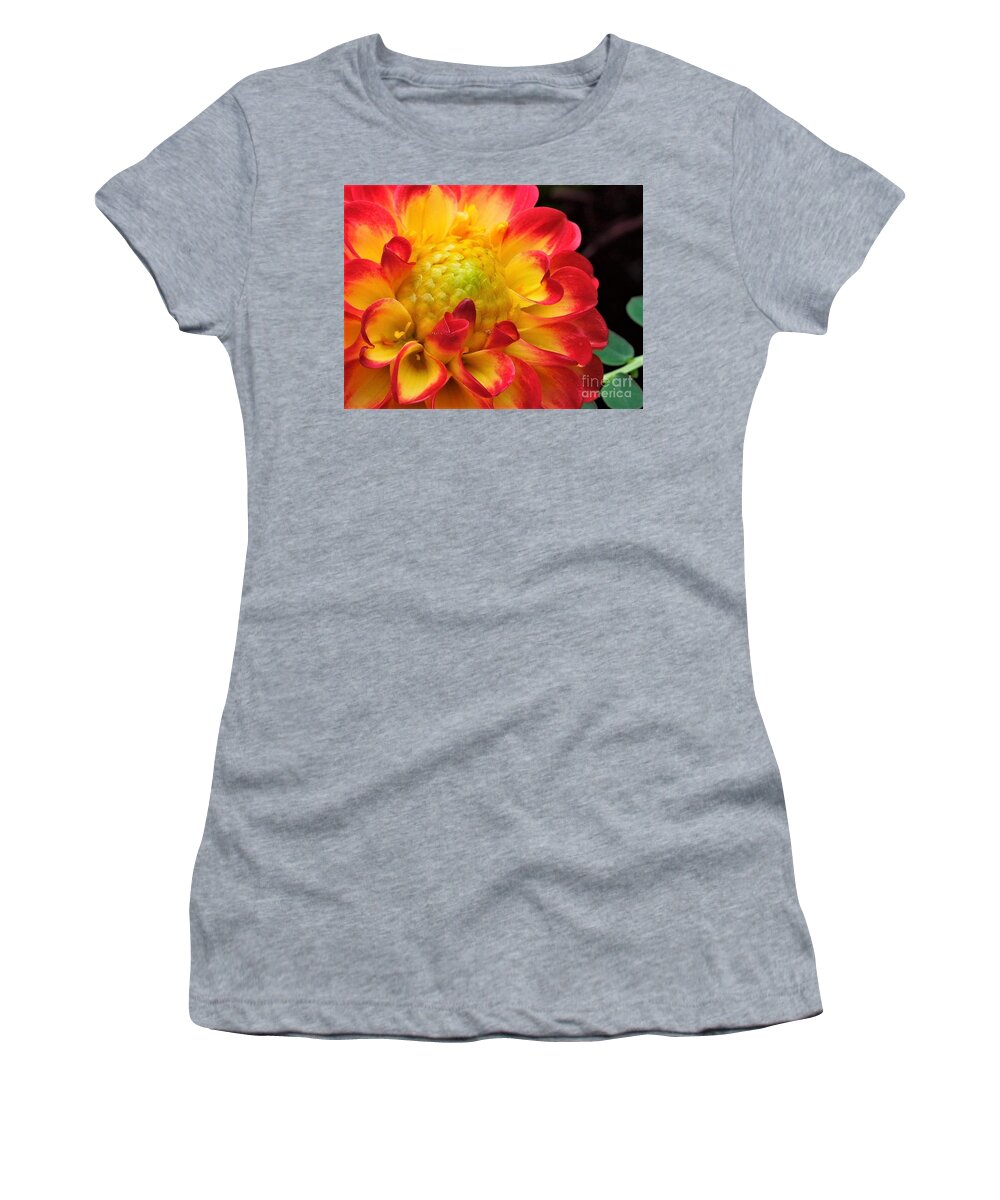 Dahlia Women's T-Shirt featuring the photograph Macro Dahlia by Chad and Stacey Hall