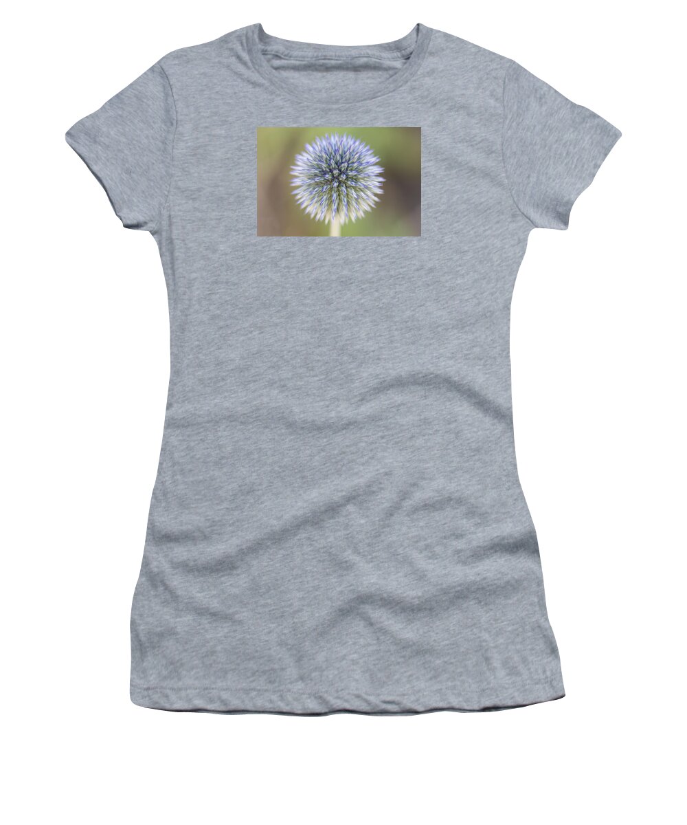 Globe Thistle Women's T-Shirt featuring the photograph Macro View of Globe Thistle by Matt McDonald
