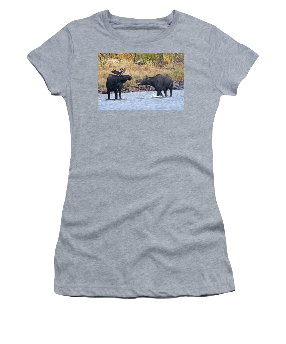 Moose Women's T-Shirt featuring the photograph Mad Mamma Moose by Gary Beeler