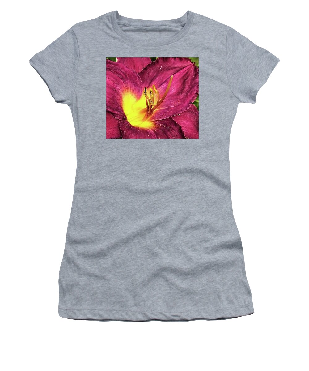 Flora Women's T-Shirt featuring the photograph Magenta Prince Daylily by Bruce Bley