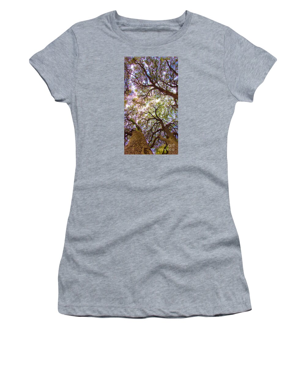 Michael Tidwell Photography Women's T-Shirt featuring the photograph Magic Canopy by Michael Tidwell