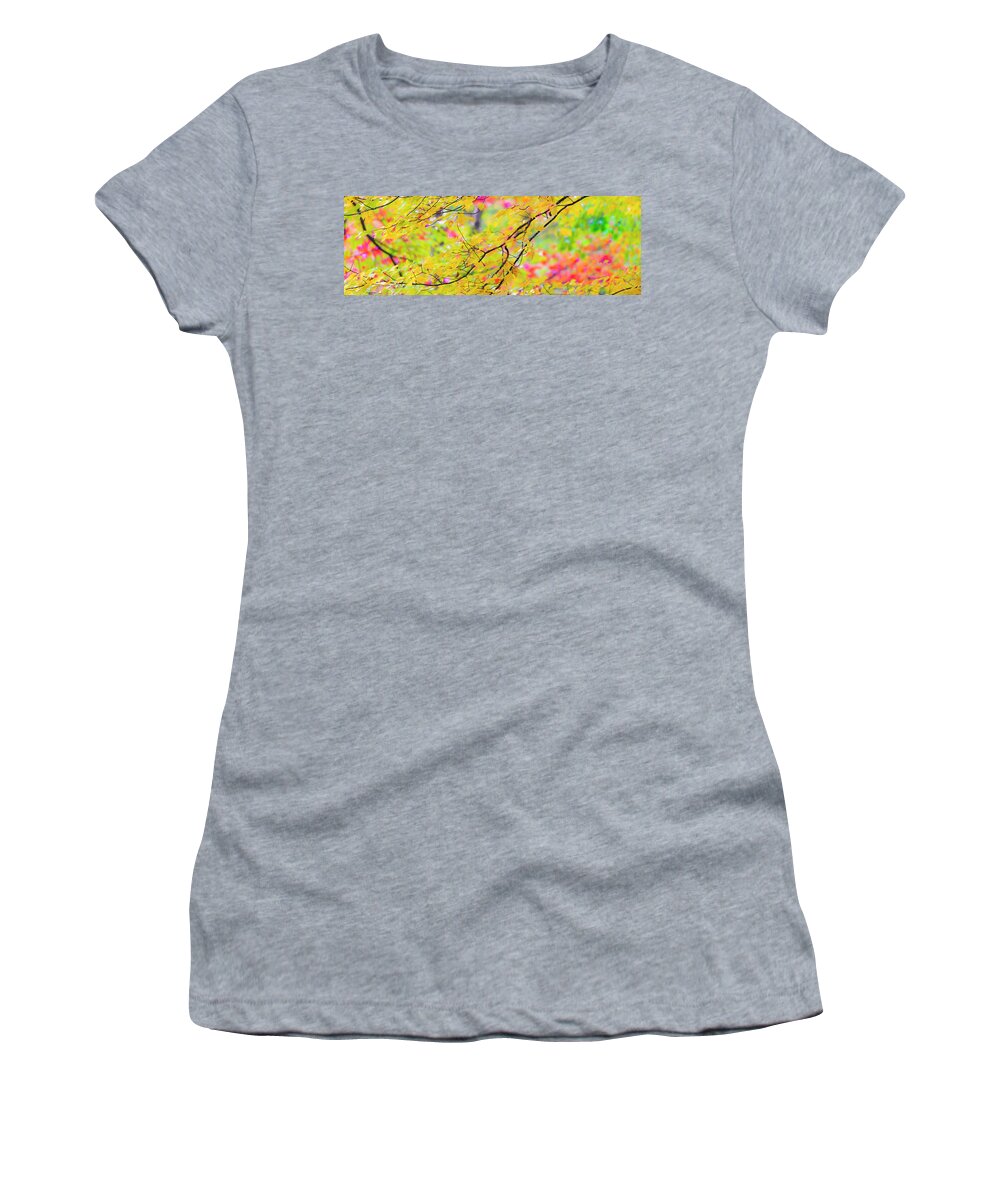 Fall Women's T-Shirt featuring the photograph Maine Fall Foliage Panorama by Ranjay Mitra