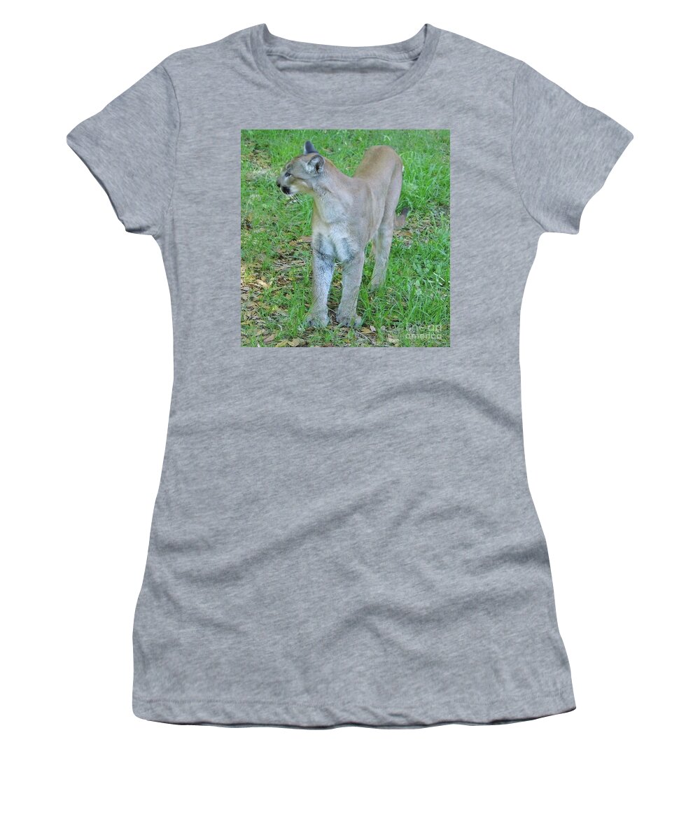 Panther Women's T-Shirt featuring the photograph Majestic Yuma by D Hackett