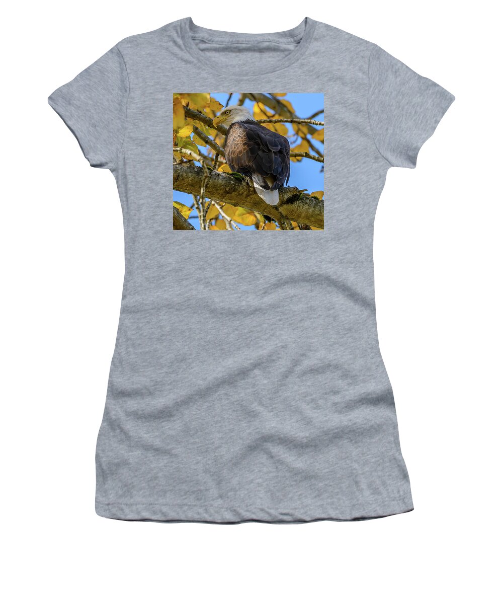 Eagle. Bald Eagle Women's T-Shirt featuring the photograph Majesty in Yellow by Jerry Cahill