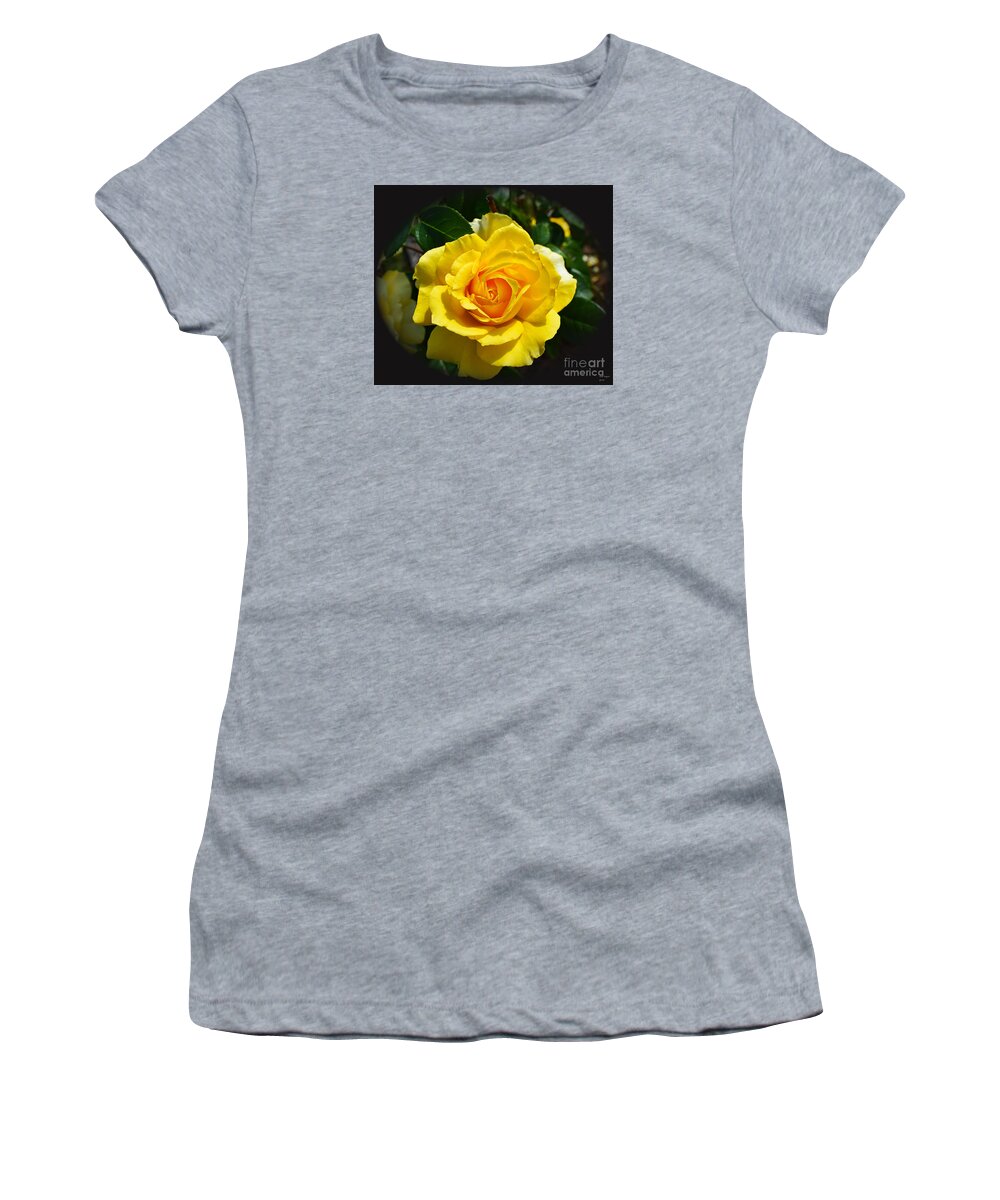 Nature Women's T-Shirt featuring the photograph Make My Rose Yellow Please by DB Hayes