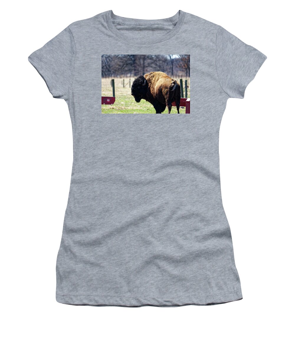 Bison Women's T-Shirt featuring the photograph Male Bison by Peter Ponzio