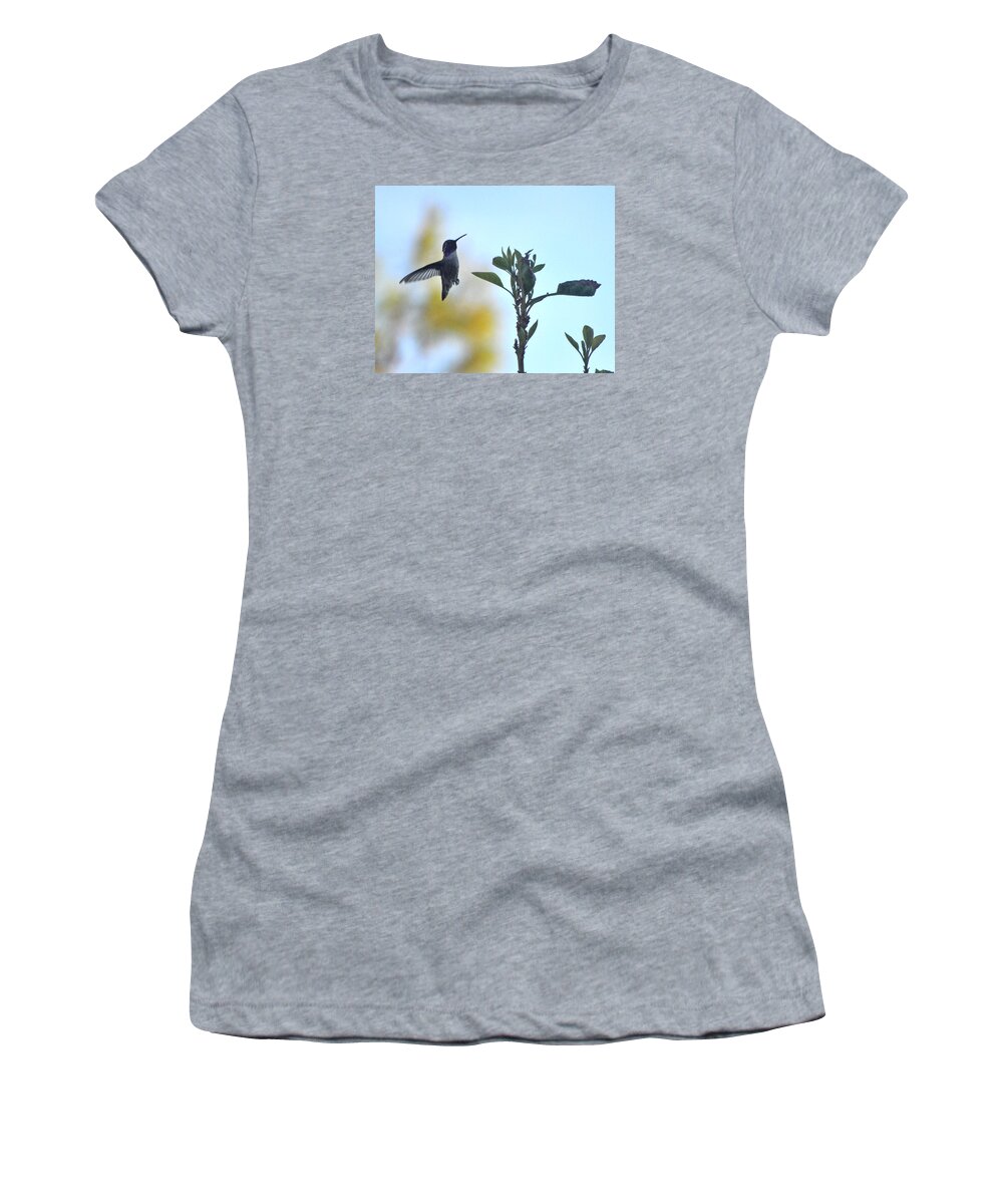 Animal Women's T-Shirt featuring the photograph Male Costa's Hummingbird Checking The Avocado Tree by Jay Milo