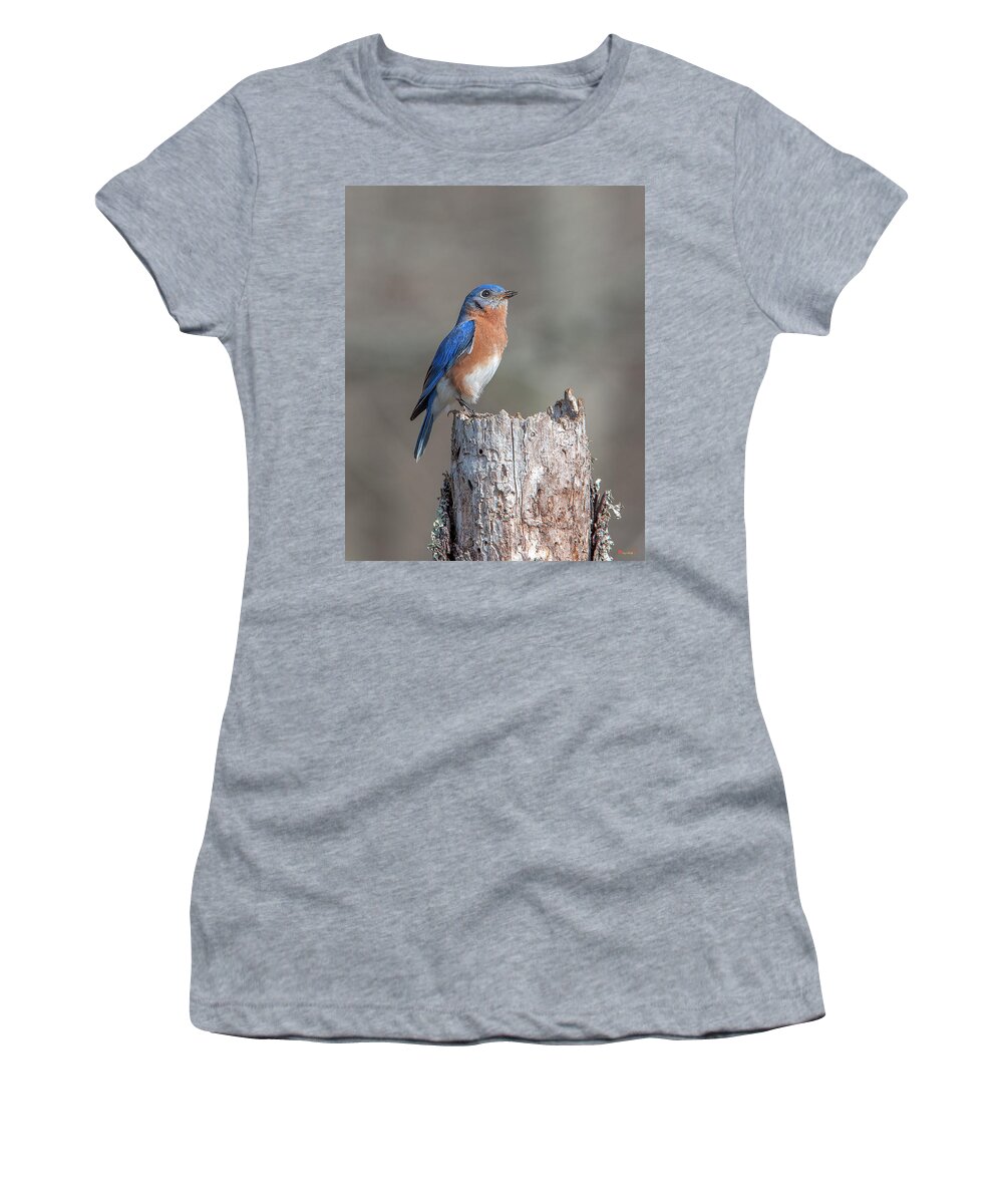 Nature Women's T-Shirt featuring the photograph Male Eastern Bluebird Singing DSB0287 by Gerry Gantt