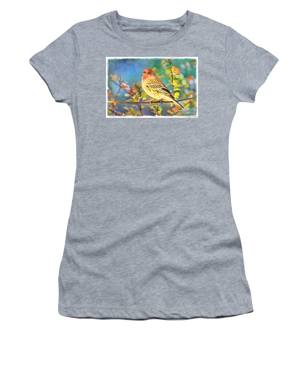 Finch Women's T-Shirt featuring the photograph Male Housefinch with Colorful Leaves - Digital Paint 1 by Debbie Portwood