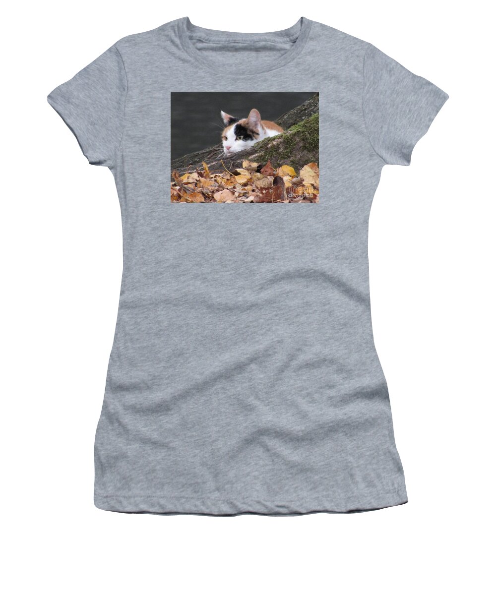 Cat Women's T-Shirt featuring the photograph Ducks Watching by Kim Tran